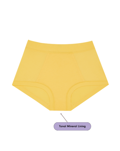 Brief