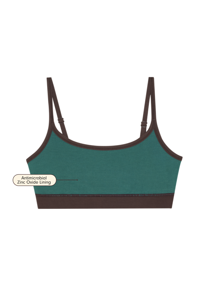 Java | flat lay