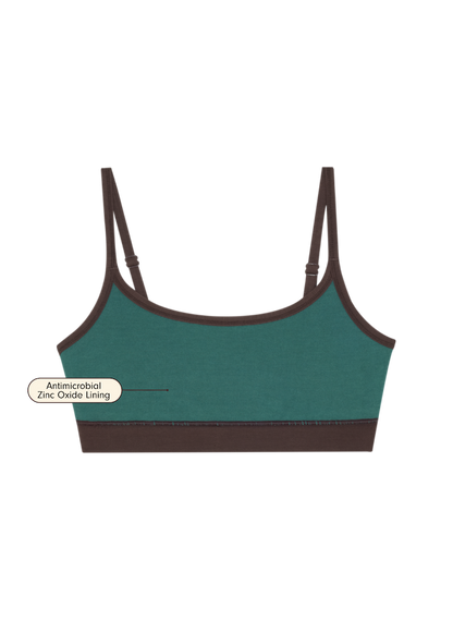 Java | flat lay
