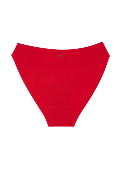 High Rise Bikini