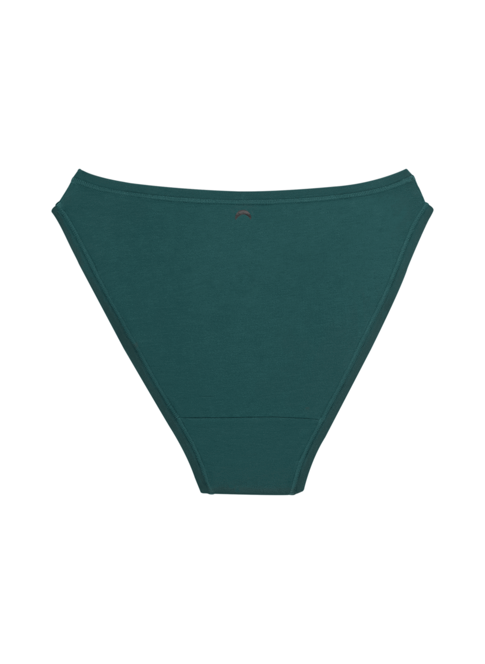 High Rise Bikini