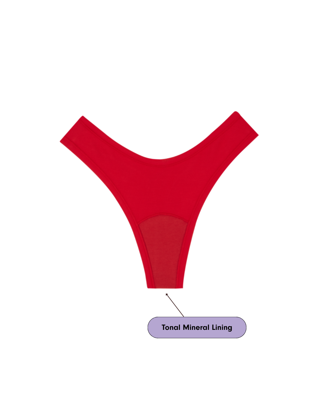 Tanga échancré