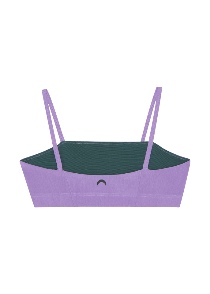Aster